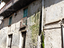 Immagine 11