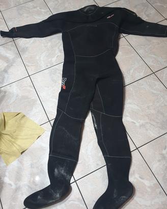 muta stagna mares Profit