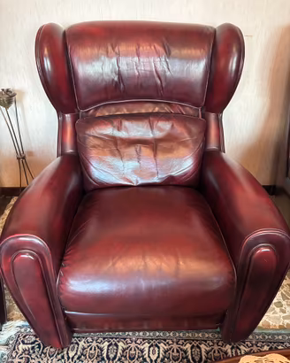 Poltrone Bergère in vera pelle