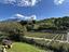 Immagine 21