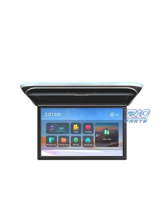SCHERMO PER TETTO FULL HD DA 17,3"