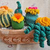 Cactus realizzato ad uncinetto in lana