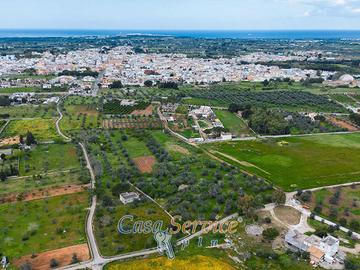 Terreno di 10500 mq. con trullo ad Alezio