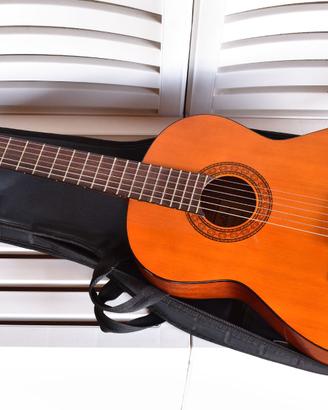 Chitarra Classica Walden N-310