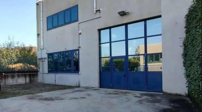 Vari Capannoni IN ASTA