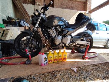 Honda Hornet 600