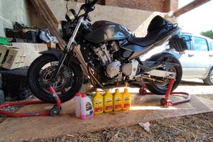 Honda Hornet 600