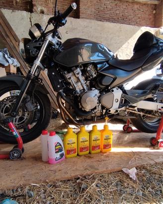Honda Hornet 600