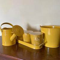 Set giardinaggio zincato giallo