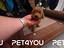 Immagine 10