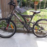 BICI 20X1,7   