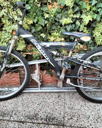 🚴 Bici n. 24