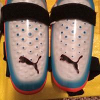 parastinchi puma e altro 