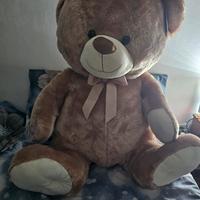 orso gigante 