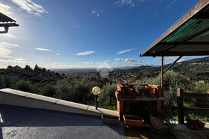 RUSTICO A MASSA E COZZILE