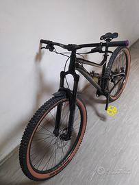 Dartmoor bluebird 29 