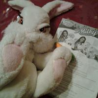 Milky Hasbro Interattiva Emotion Pets