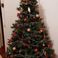 Albero di Natale e Addobbi natalizi