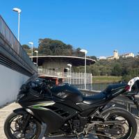 Kawasaki Ninja 300