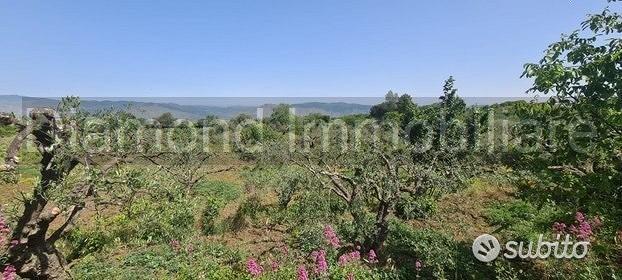 Terreno agricolo 3.200mq zona doc a castiglione - Vista 5