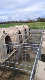 Gabbiette per vitelli