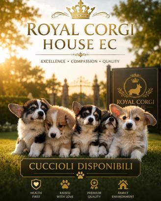 Cuccioli Welsh Corgi Pembroke