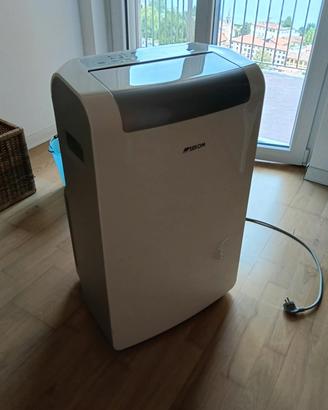 Condizionatore SEKOM e Deumidificatore ultra POWER