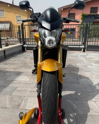 Honda Hornet 600