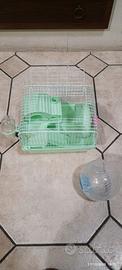 Piccola Gabbia per criceti da trasporto e palla