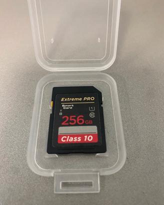 Sandisk extreme pro