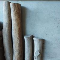 TRONCHI IN LEGNO DI OLMO