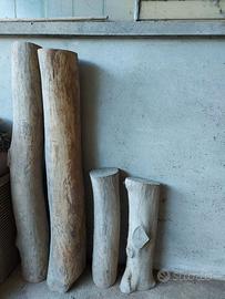 TRONCHI IN LEGNO DI OLMO