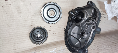 Rapporti allungati per piaggio Zip/Typhoon/Free/