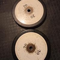 Coppia Dischi ghisa 20 kg Technogym 