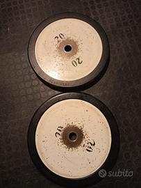 Coppia Dischi ghisa 20 kg Technogym 