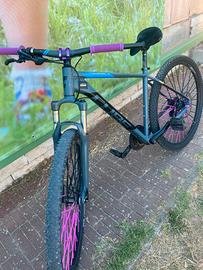 cube aim race 2018 29