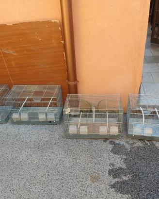 Gabbie per uccellini di tutte le misure