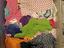 Immagine 1