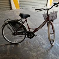 Bici da passeggio 