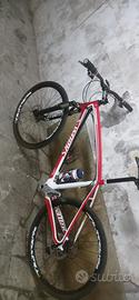 Bici MTB