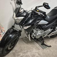 Suzuki Inazuma 250