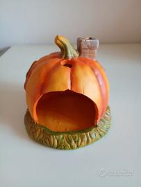 zucca halloween