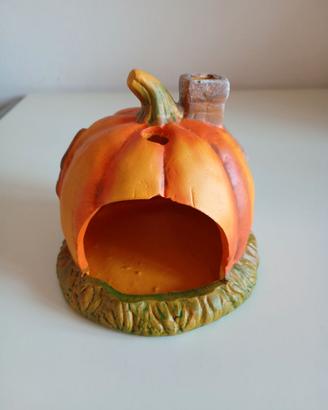 zucca halloween