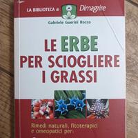 Le erbe per sciogliere i grassi
