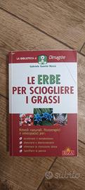 Le erbe per sciogliere i grassi
