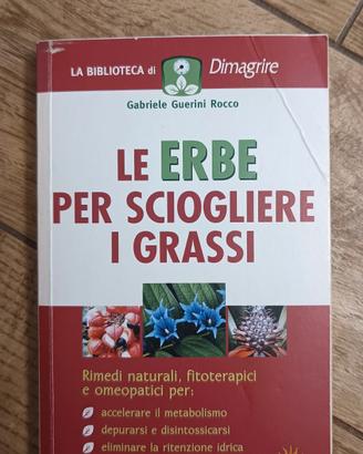 Le erbe per sciogliere i grassi
