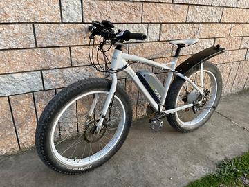 E Bike fat bike