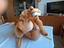 Immagine 1
