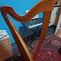 Arpa Camac 38 corde