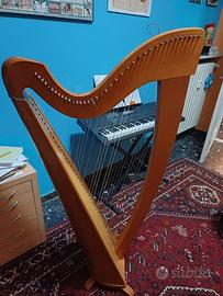 Arpa Camac 38 corde